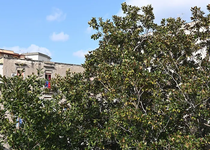 住宿加早餐酒店 Palummelle 3*